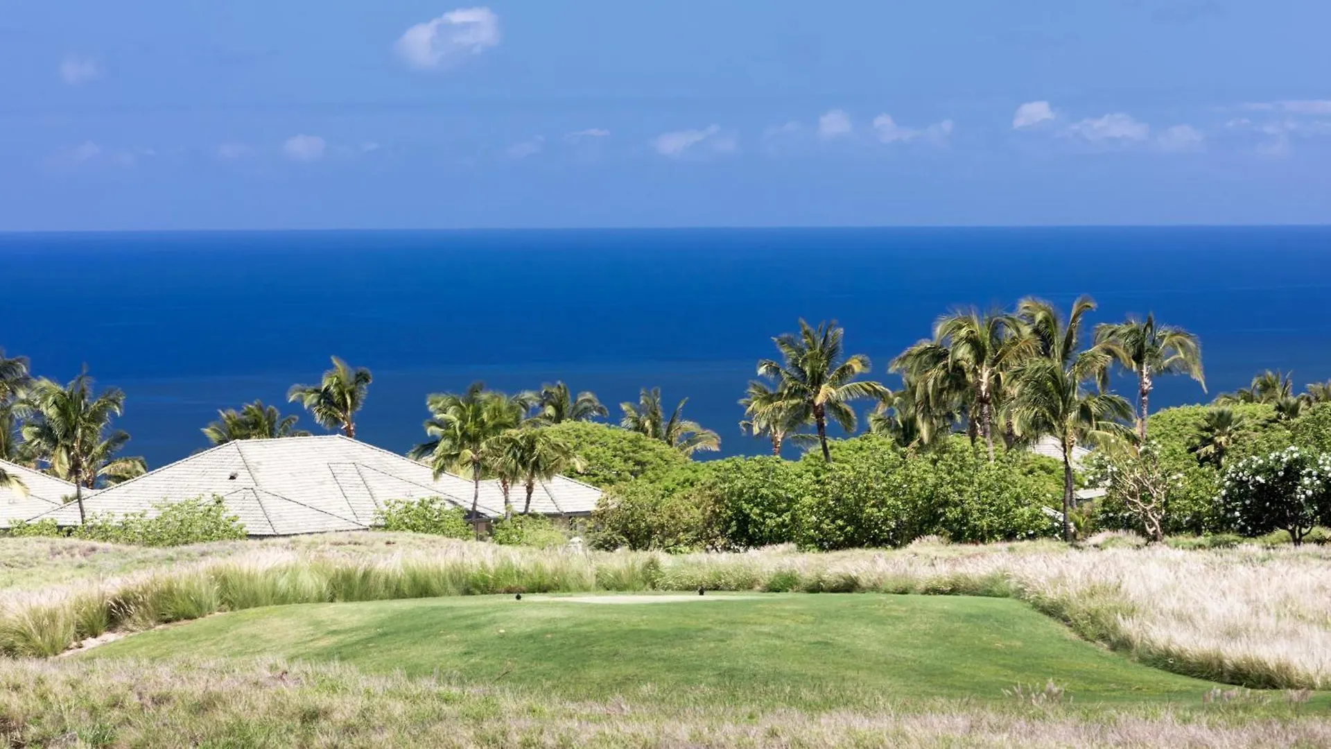 Hoku Lani House Heated Private Pool Spa Intro Pricing 25% Off Waimea  Semesterbostad