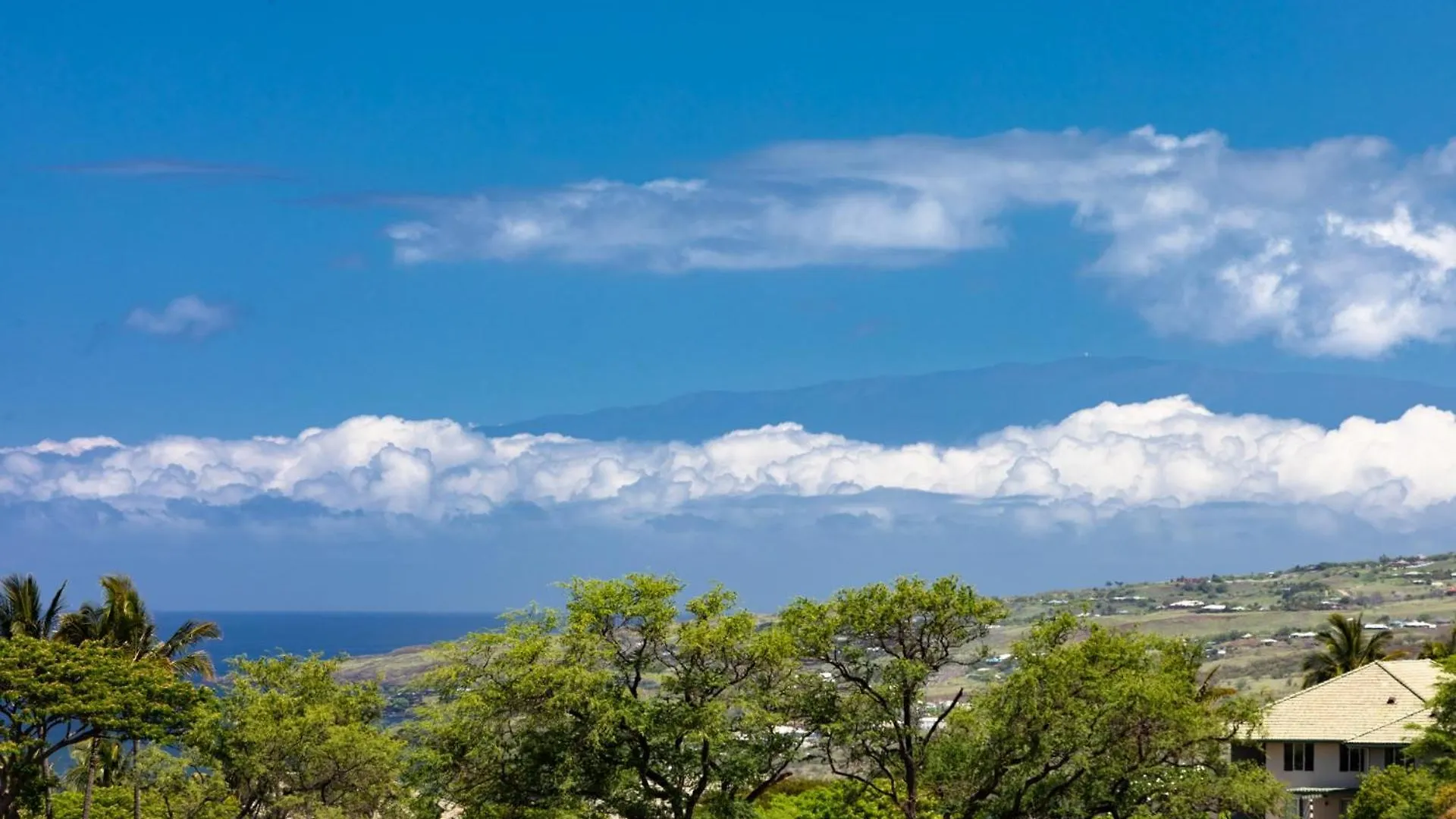 Hoku Lani House Heated Private Pool Spa Intro Pricing 25% Off Waimea  Waimea (Hawaii)