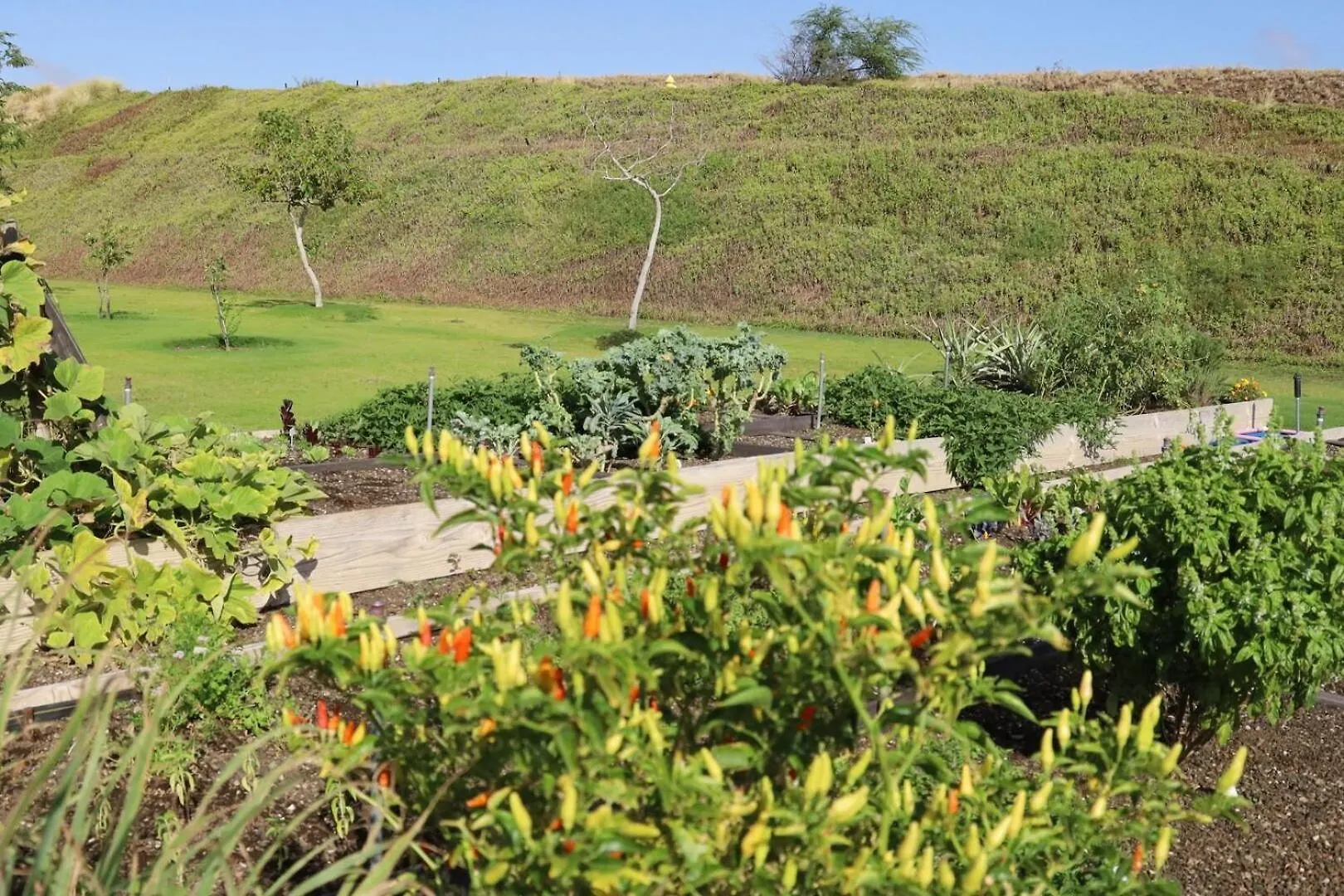 ווימאה Hoku Lani House Heated Private Pool Spa Intro Pricing 25% Off 0*,  ארצות הברית